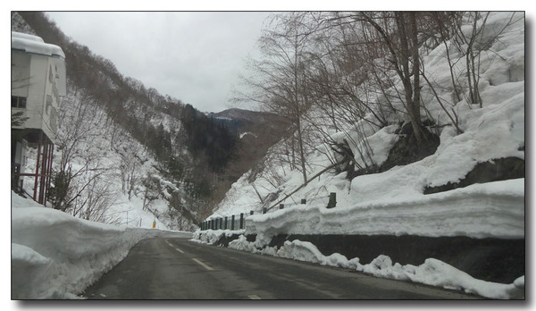 20150311111033.JPG