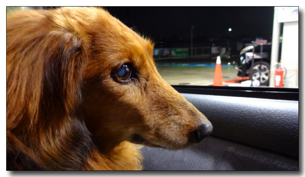 20150311121457.JPG
