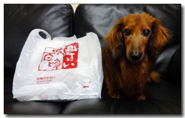 20150311134933.JPG