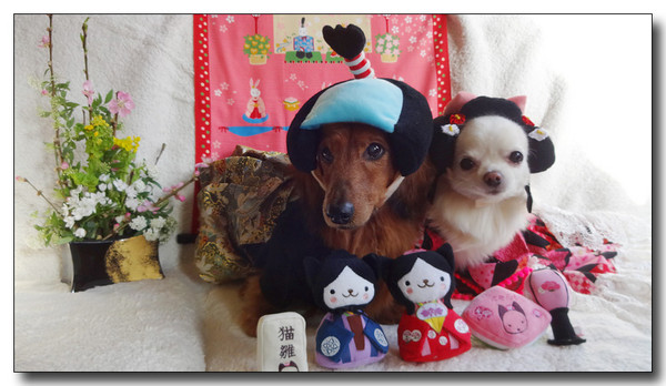 20150316161617.JPG