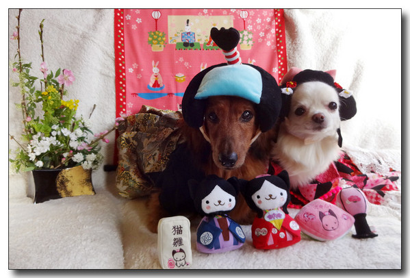 20150316161618.JPG