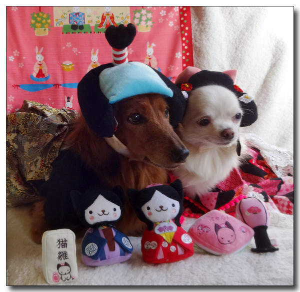 20150316161619.JPG