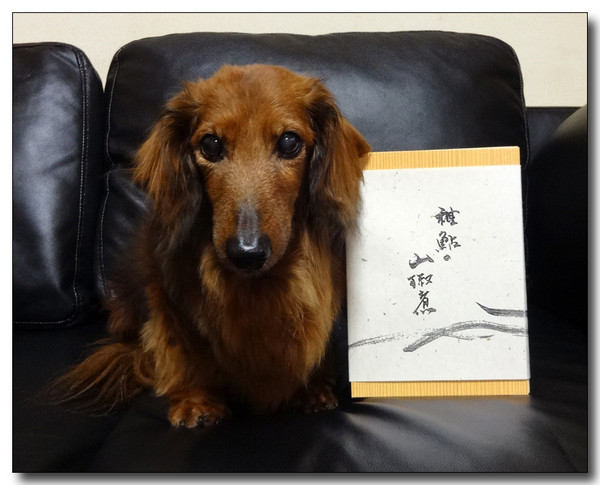 20150410060825.JPG