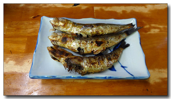 20150410154429.JPG