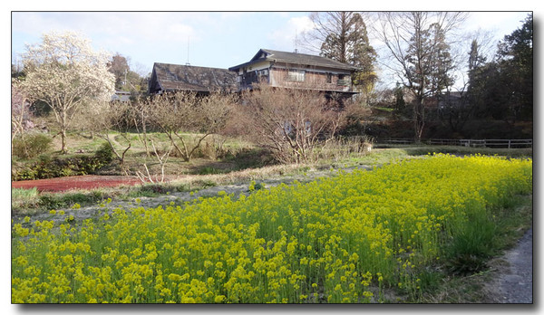 20150412172749.JPG