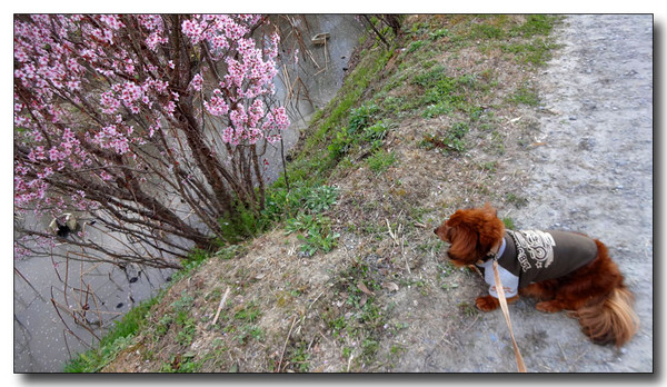 20150412172812.JPG
