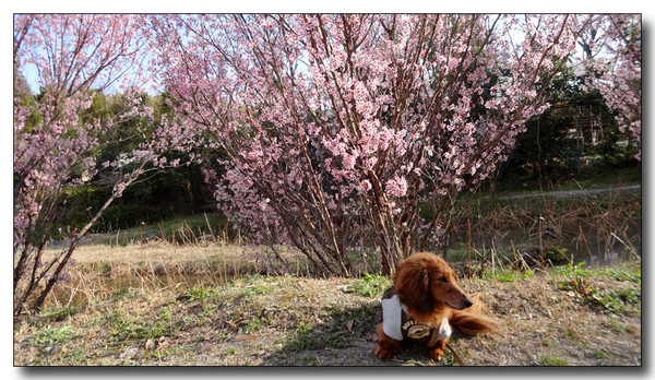 20150412172813.JPG