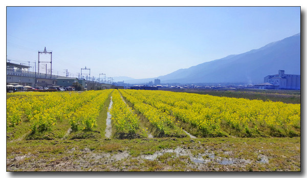 20150415095129.JPG