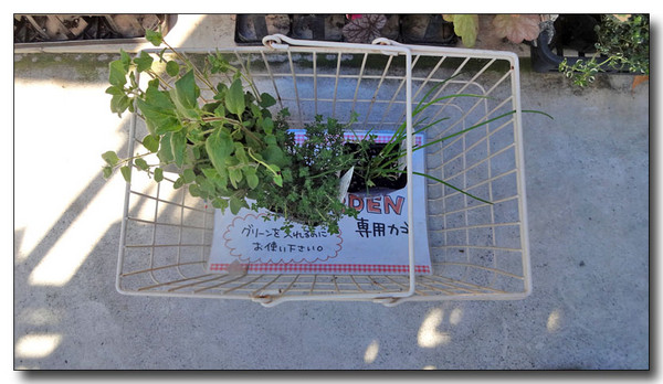 20150416221442.JPG