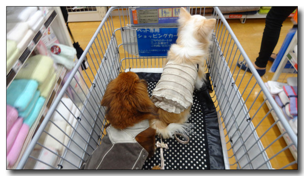 20150420101649.JPG