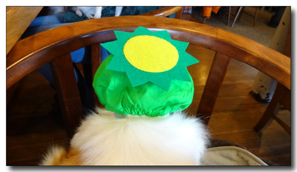 20150322143017.JPG 20150322143017.JPG