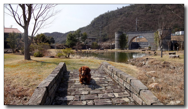 20150327073632.JPG