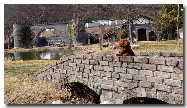 20150327073634.JPG