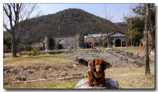 20150327073635.JPG