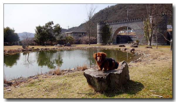 20150327073706.JPG