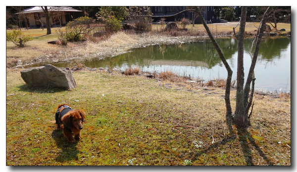 20150327073707.JPG