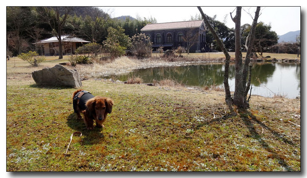 20150327073725.JPG