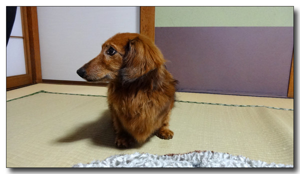 20150330083848.JPG