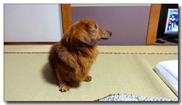 20150330083849.JPG