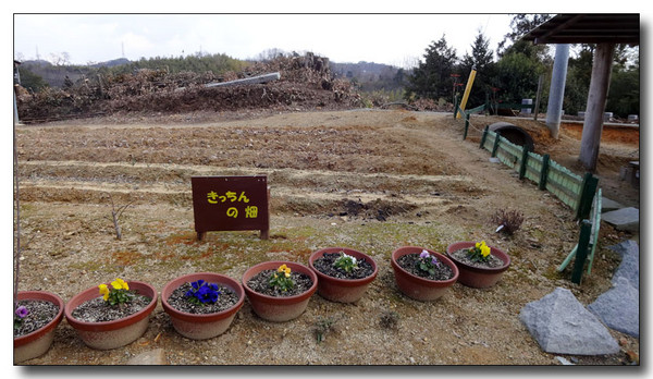 20150330115631.JPG