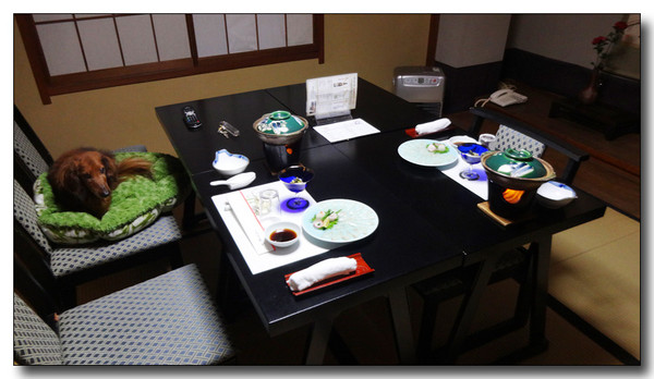 20150331181406.JPG