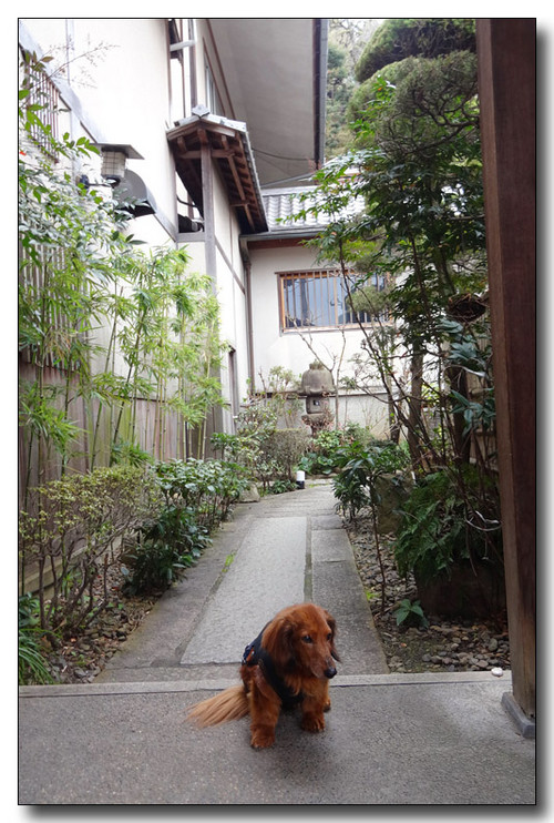 20150331185117.JPG