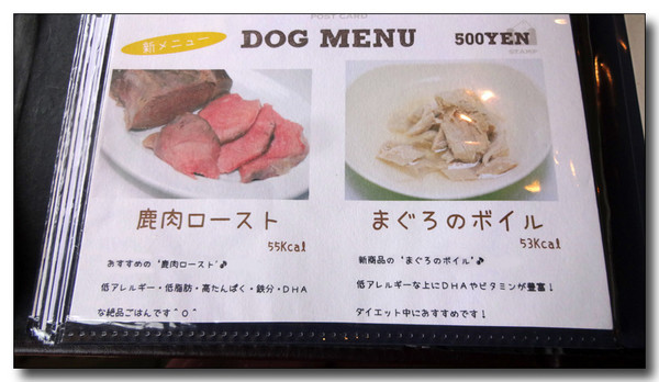 20150403094528.JPG