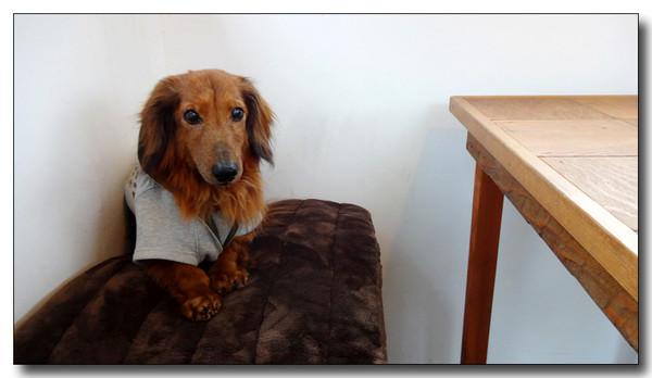 20150403140155.JPG