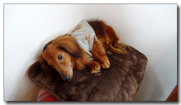 20150403140256.JPG