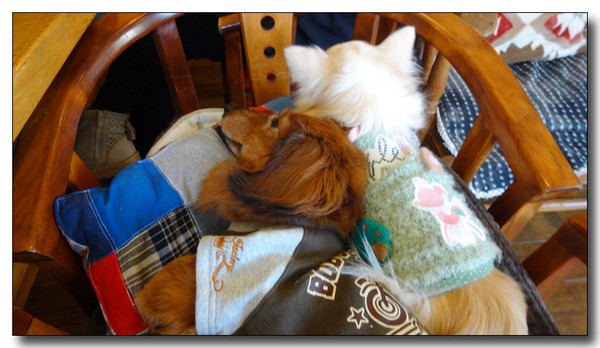 20150403210308.JPG