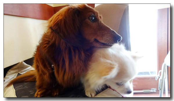 20150404124249.JPG