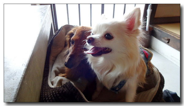20150406210835.JPG