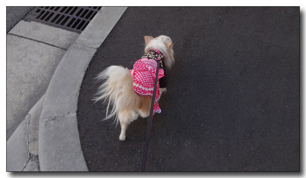 20150406211434.JPG