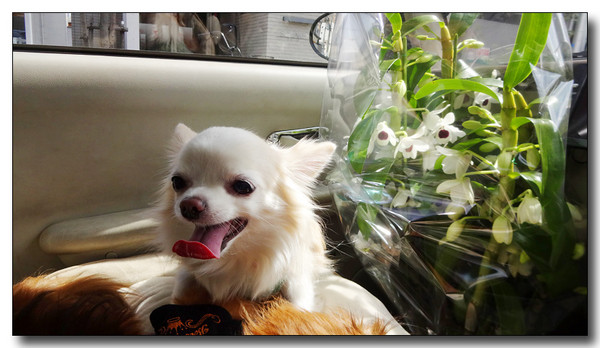 20150407180307.JPG