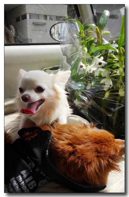 20150407180405.JPG