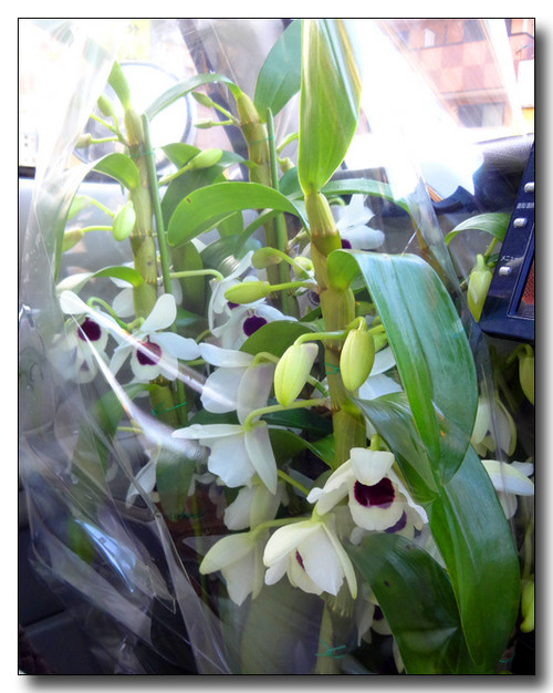 20150407182521.JPG