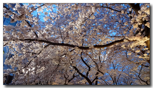 20150422104552.JPG