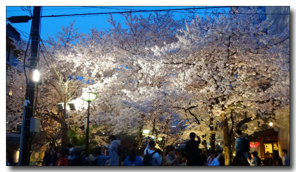 20150422104553.JPG