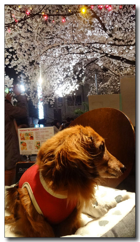 20150422104812.JPG