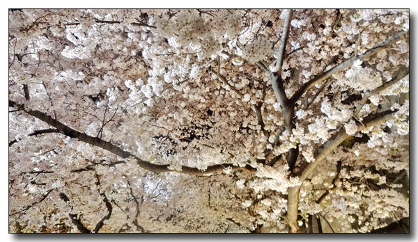 20150423083857.JPG