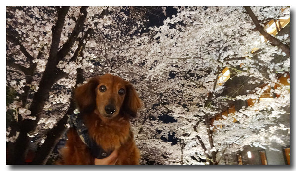 20150423083900.JPG