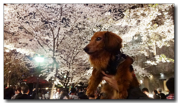 20150423083920.JPG