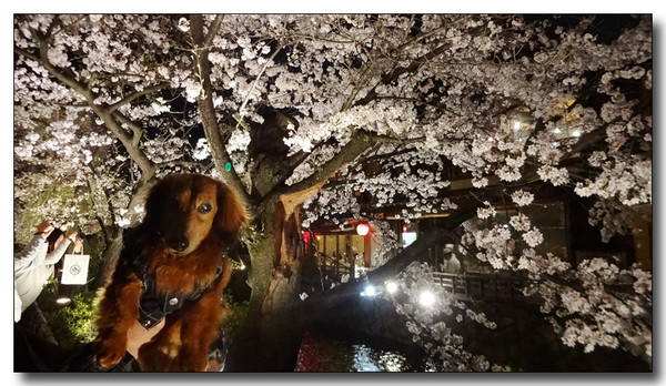 20150423083923.JPG