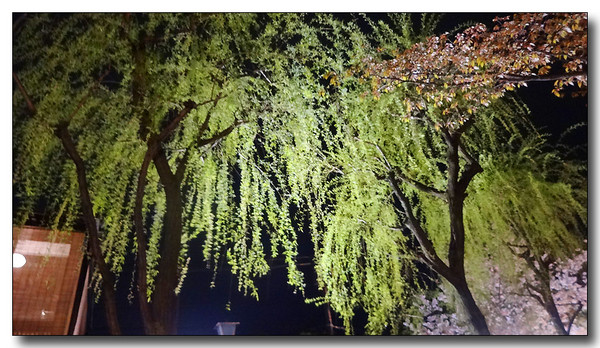 20150423083924.JPG