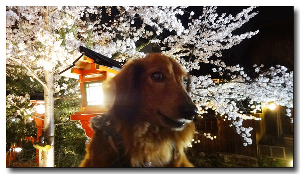 20150423083943.JPG