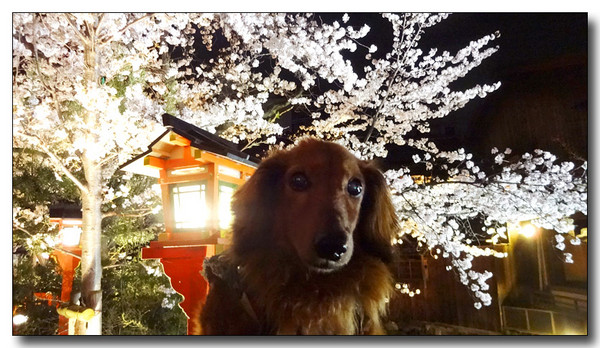 20150423083944.JPG