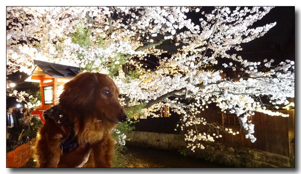 20150423083945.JPG