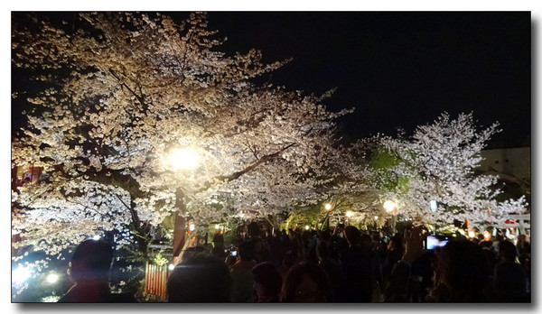 20150423083957.JPG