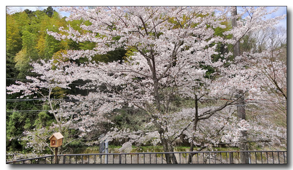 20150428094718.JPG