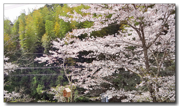 20150428094906.JPG